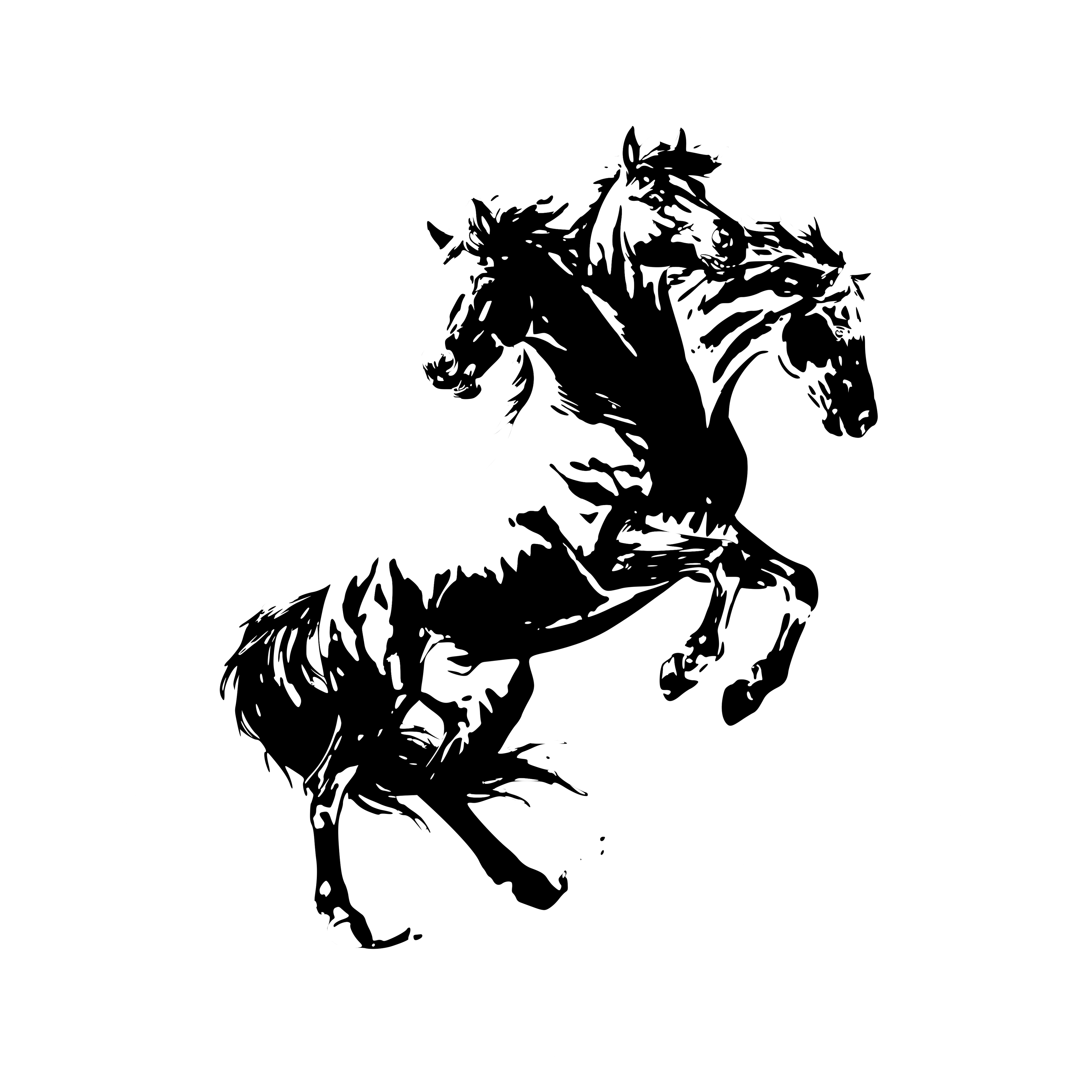BARBARIAN TEMPO