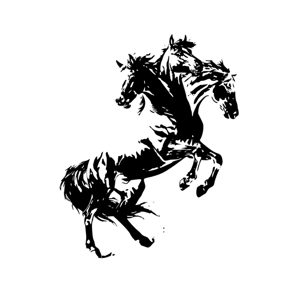 BARBARIAN TEMPO